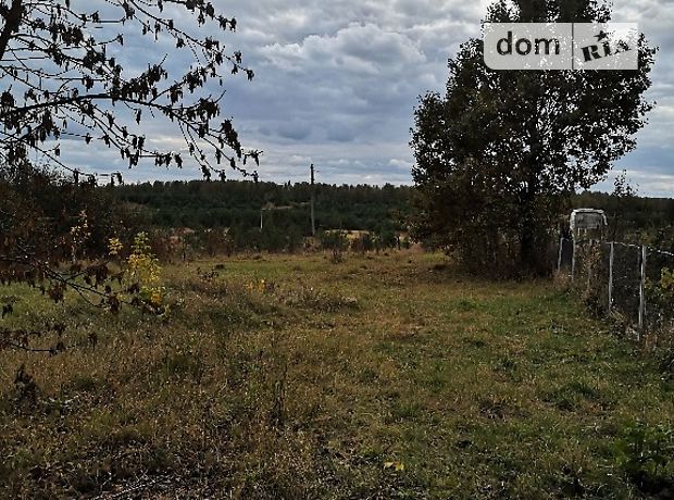 двоповерховий будинок з гаражем, 248 кв. м, цегла. Продаж в Іванівці (Житомирська обл.) фото 1 двоповерховий будинок з гаражем, 248 кв. м, цегла. Продаж в Іванівці (Житомирська обл.) фото 1