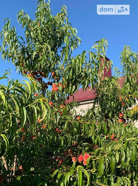 одноэтажный дом с садом, 156 кв. м, пеноблок. Продажа в Житомире район Крошенский Дачный Масив фото 1 одноэтажный дом с садом, 156 кв. м, пеноблок. Продажа в Житомире район Крошенский Дачный Масив фото 1
