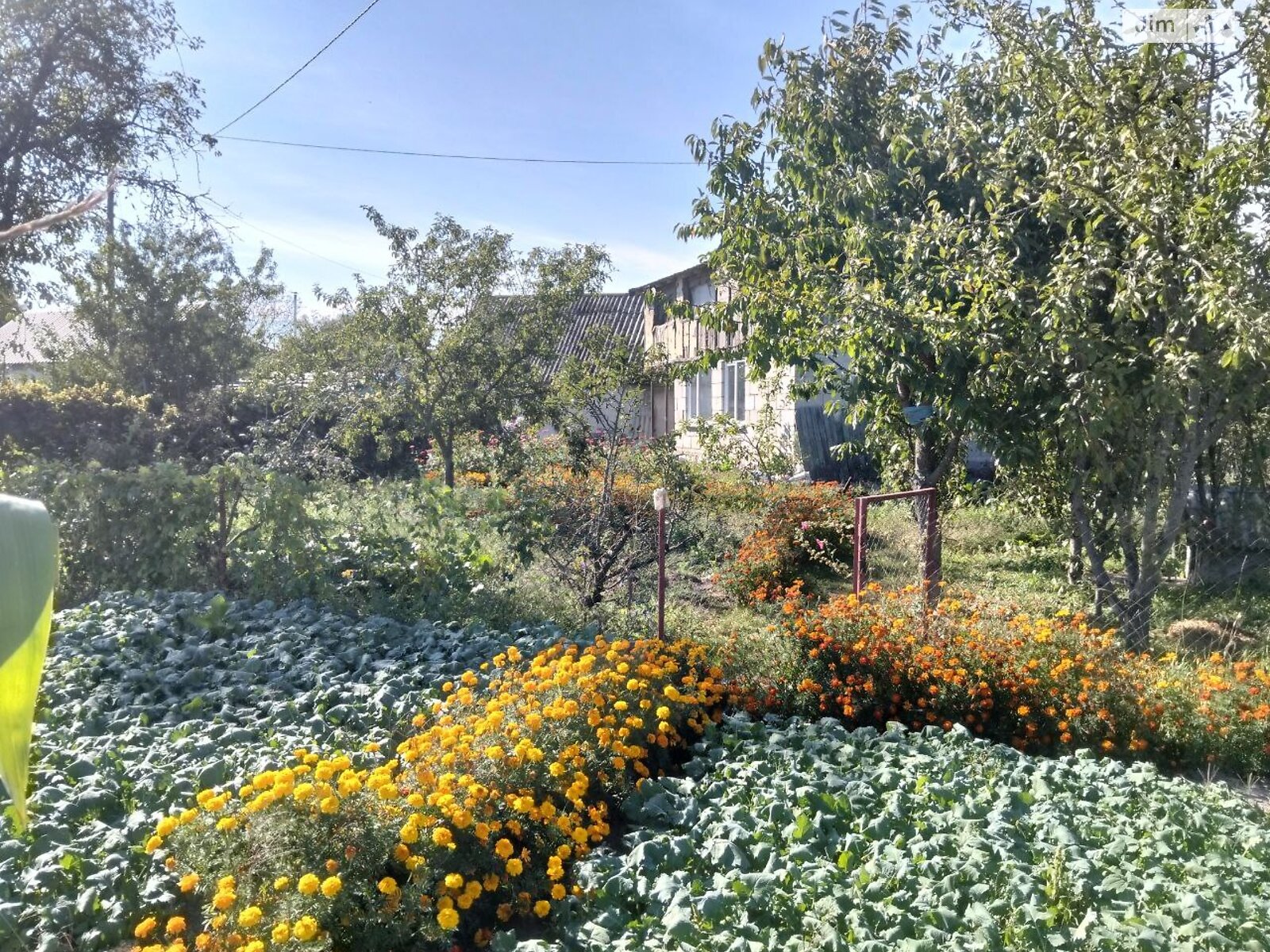 одноповерховий будинок з верандою, 94.6 кв. м, дерево та цегла. Продаж в Житомирі, район Крошня фото 1 одноповерховий будинок з верандою, 94.6 кв. м, дерево та цегла. Продаж в Житомирі, район Крошня фото 1