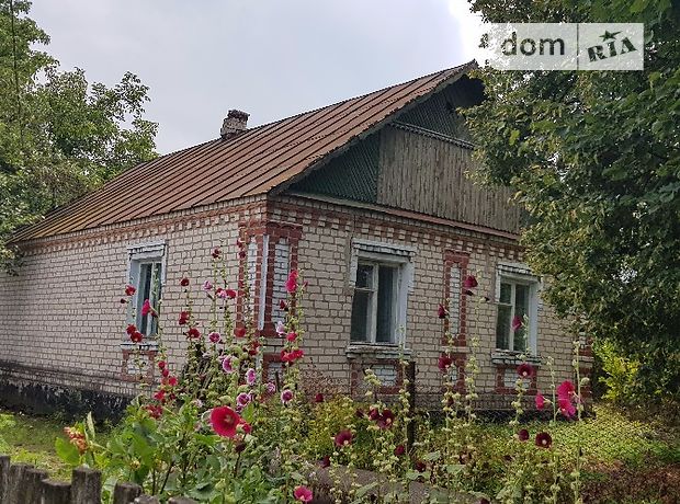 одноэтажный дом с садом, 88.3 кв. м, кирпич. Продажа в Лещине (Житомирская обл.) фото 1 одноэтажный дом с садом, 88.3 кв. м, кирпич. Продажа в Лещине (Житомирская обл.) фото 1