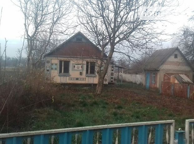 одноэтажный дом с садом, 70 кв. м, кирпич. Продажа в Миролюбовке (Житомирская обл.) фото 1 одноэтажный дом с садом, 70 кв. м, кирпич. Продажа в Миролюбовке (Житомирская обл.) фото 1
