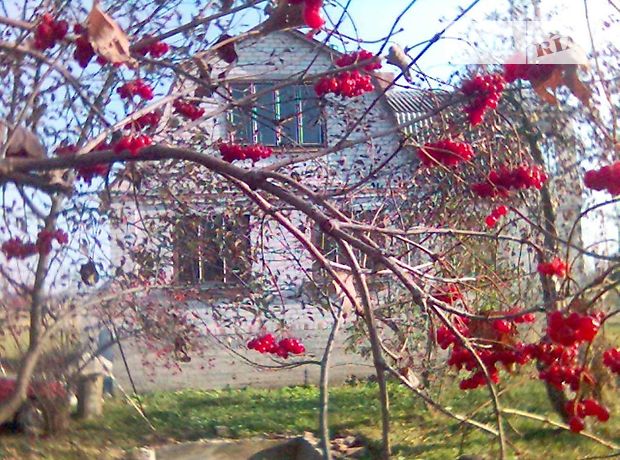 одноэтажный дом с садом, 60 кв. м, кирпич. Продажа в Млынище (Житомирская обл.) фото 1 одноэтажный дом с садом, 60 кв. м, кирпич. Продажа в Млынище (Житомирская обл.) фото 1