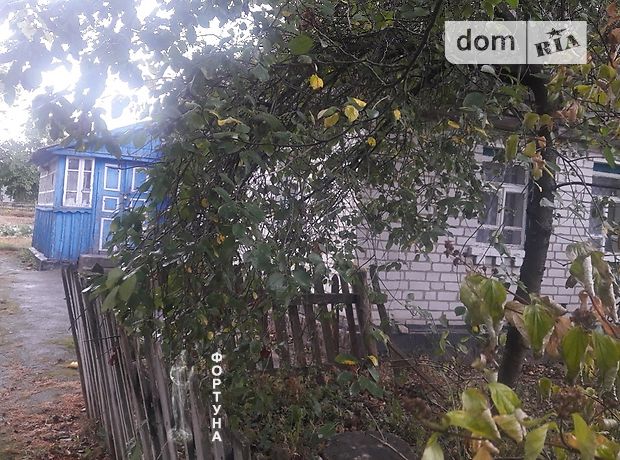 одноэтажный дом, 60 кв. м, кирпич. Продажа в Олиевке (Житомирская обл.) фото 1 одноэтажный дом, 60 кв. м, кирпич. Продажа в Олиевке (Житомирская обл.) фото 1