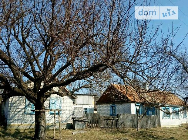 одноэтажный дом, 48 кв. м, кирпич. Продажа в Перлявке (Житомирская обл.) фото 1 одноэтажный дом, 48 кв. м, кирпич. Продажа в Перлявке (Житомирская обл.) фото 1