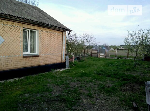 одноэтажный дом с садом, 75 кв. м, кирпич. Продажа в Писках (Житомирская обл.) фото 1 одноэтажный дом с садом, 75 кв. м, кирпич. Продажа в Писках (Житомирская обл.) фото 1