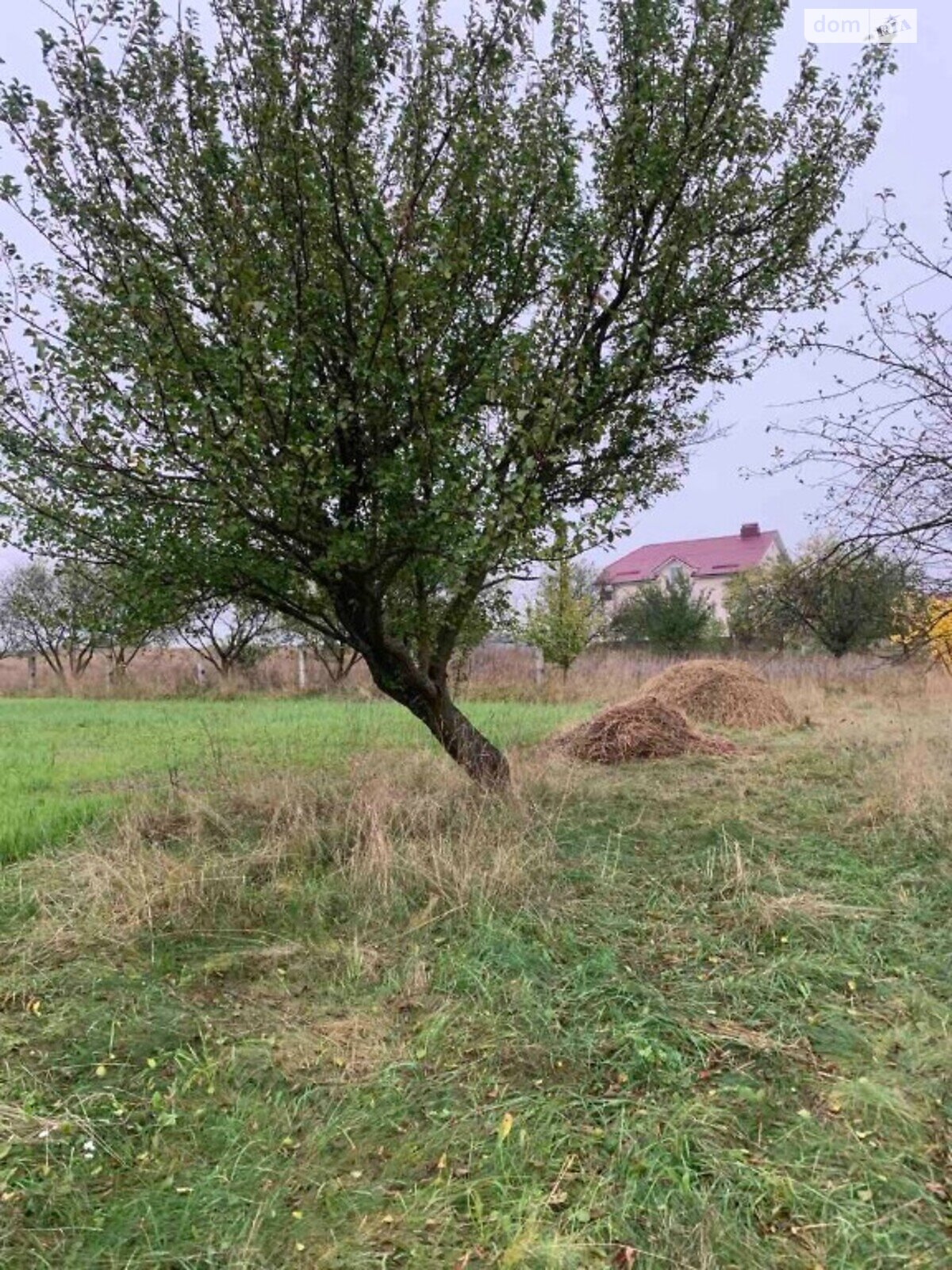 одноповерховий будинок, 100 кв. м, цегла. Продаж у Пісках фото 1 одноповерховий будинок, 100 кв. м, цегла. Продаж у Пісках фото 1