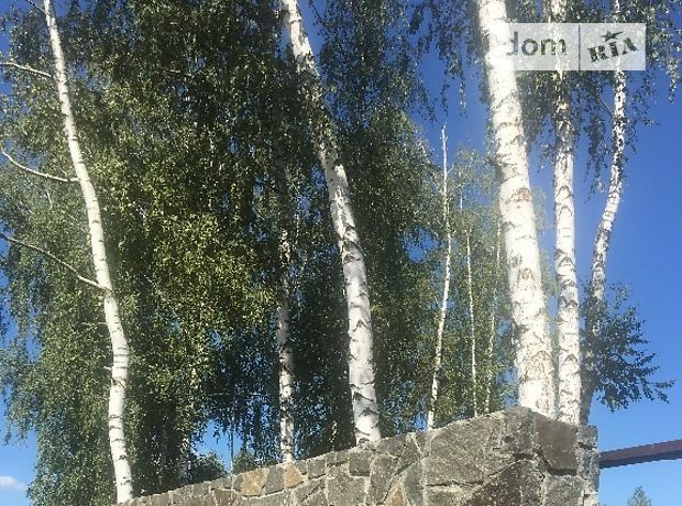 двоповерховий будинок з гаражем, 164 кв. м, пеноблок. Продаж в Пряжеві (Житомирська обл.) фото 1 двоповерховий будинок з гаражем, 164 кв. м, пеноблок. Продаж в Пряжеві (Житомирська обл.) фото 1