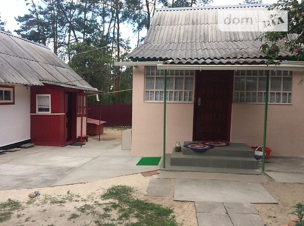 одноповерховий будинок з садом, 85 кв. м, цегла. Продаж в Пряжеві (Житомирська обл.) фото 1 одноповерховий будинок з садом, 85 кв. м, цегла. Продаж в Пряжеві (Житомирська обл.) фото 1