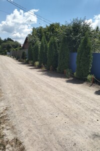 одноповерховий будинок бесідка, 80 кв. м, глинобитный. Продаж у Мирополі фото 2