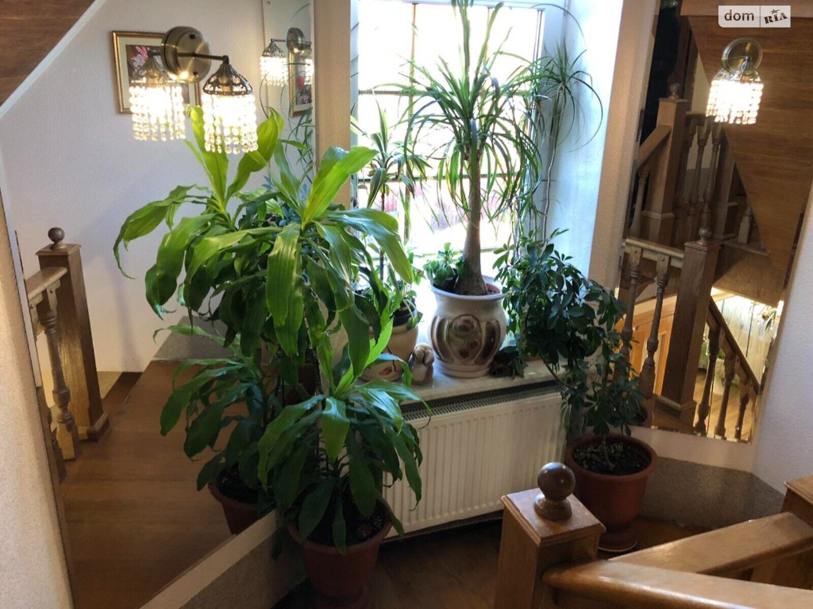 трехэтажный дом, 294 кв. м, кирпич. Продажа в Житомире район Центр фото 1 трехэтажный дом, 294 кв. м, кирпич. Продажа в Житомире район Центр фото 1