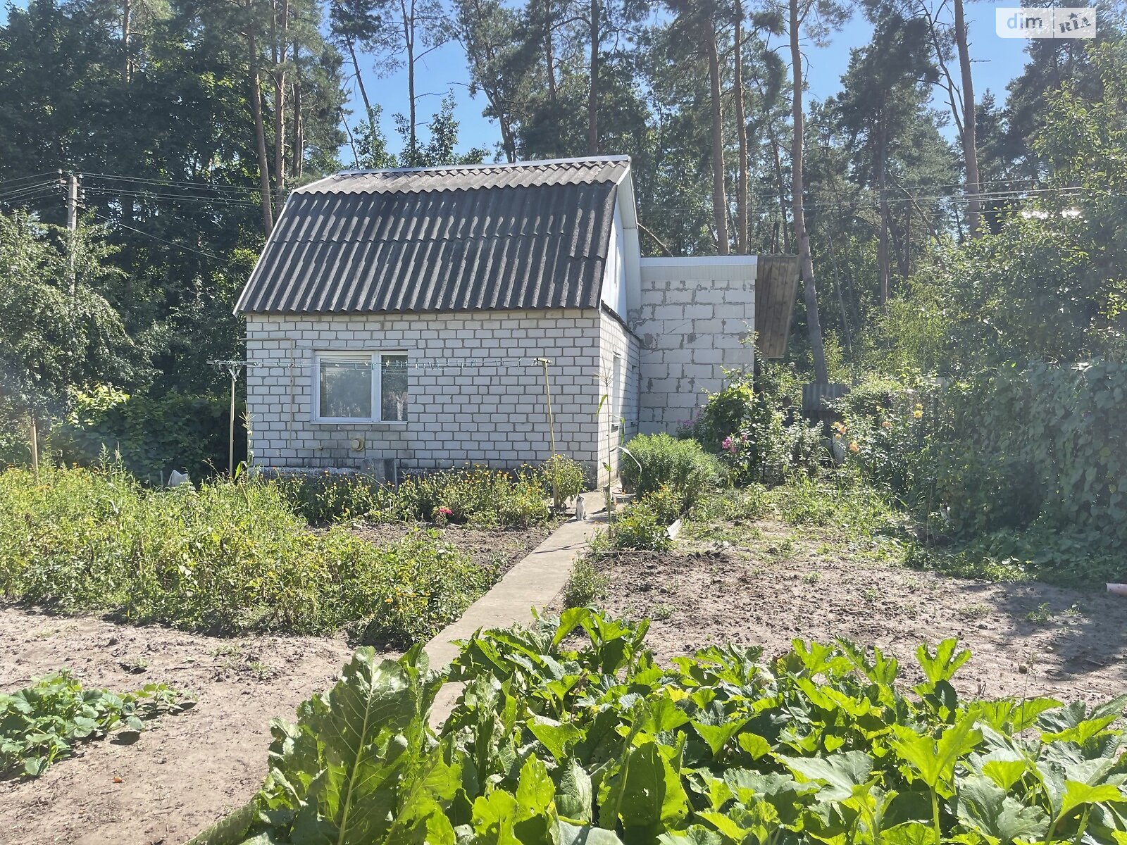 двухэтажный дом, 30 кв. м, кирпич. Продажа в Житомире район Центр фото 1