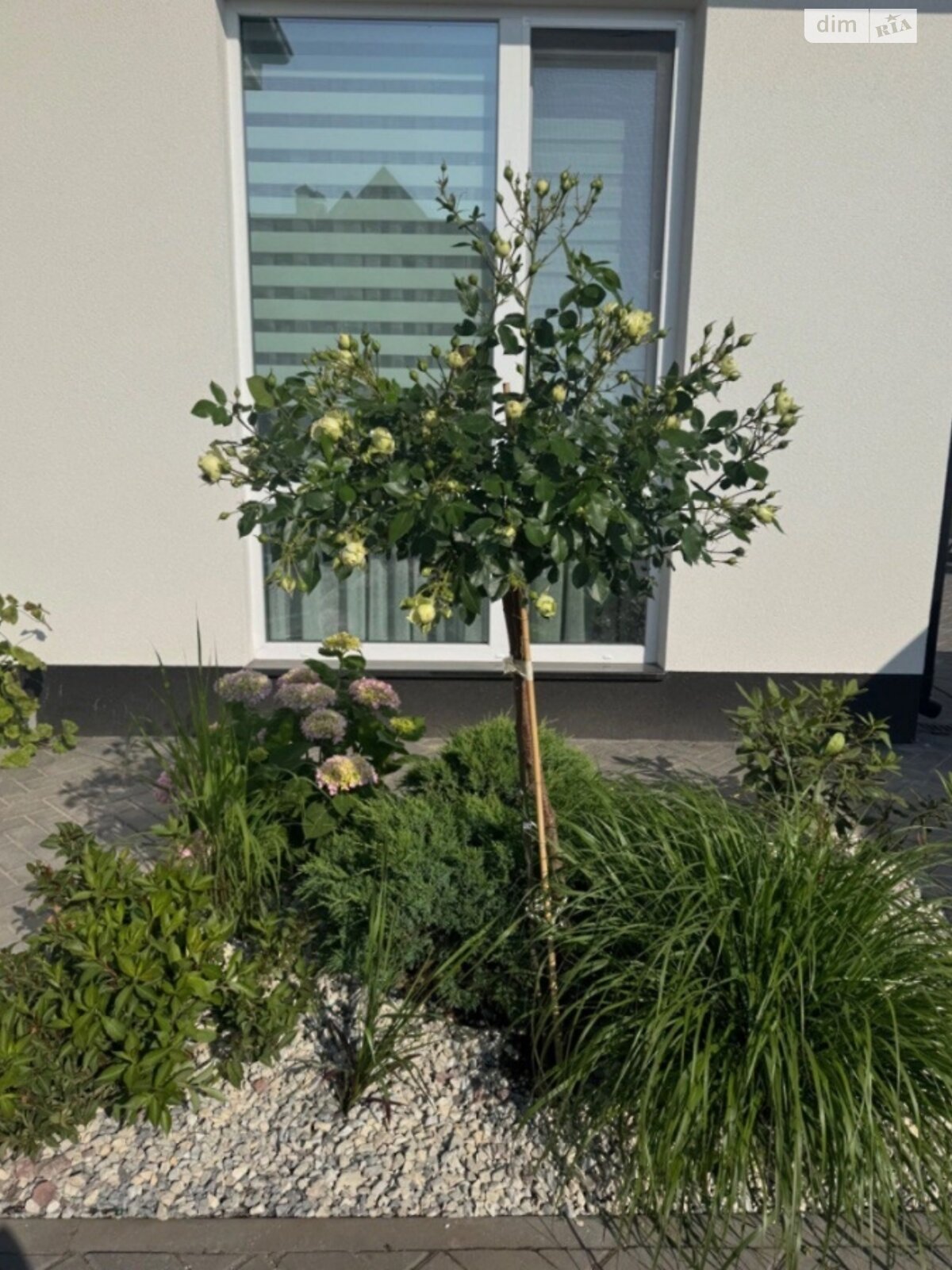 одноэтажный дом, 115 кв. м, пеноблок. Продажа в Житомире фото 1