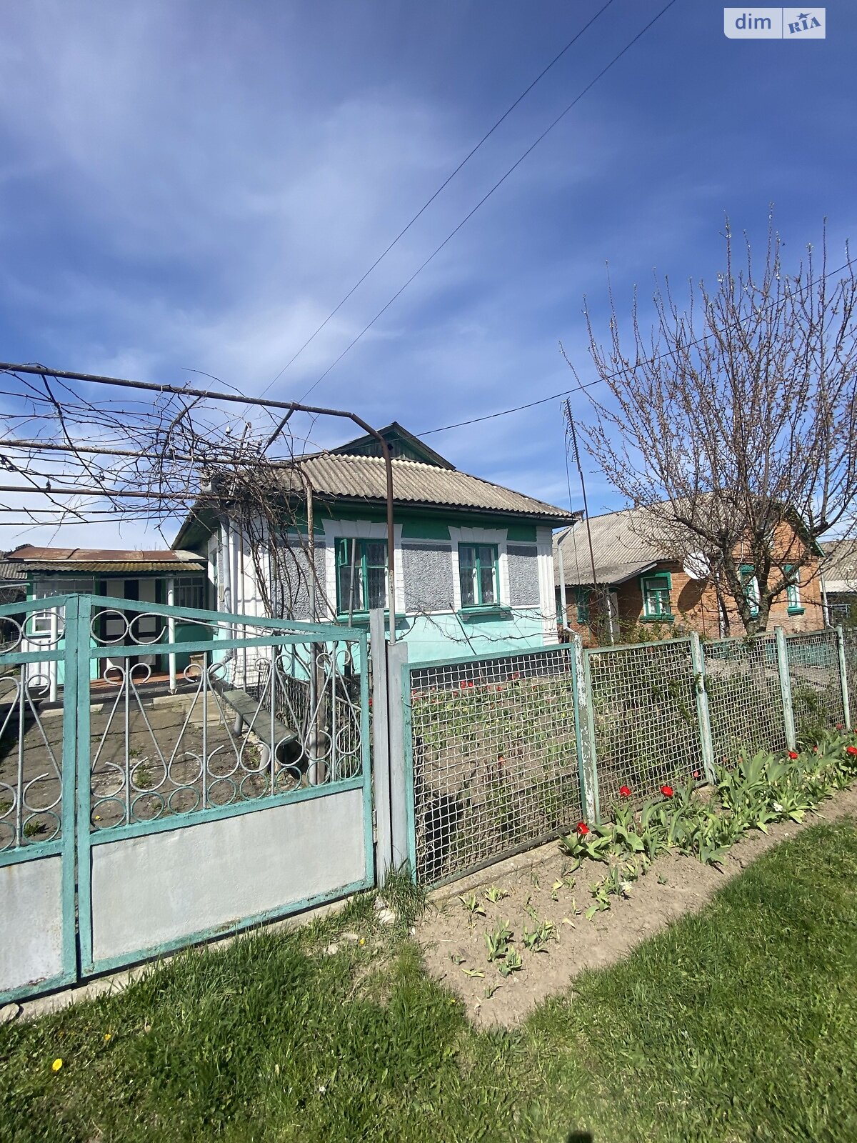 одноповерховий будинок з гаражем, 61 кв. м, шлакобетон. Продаж в Жмеринці, район Жмеринка фото 1 одноповерховий будинок з гаражем, 61 кв. м, шлакобетон. Продаж в Жмеринці, район Жмеринка фото 1