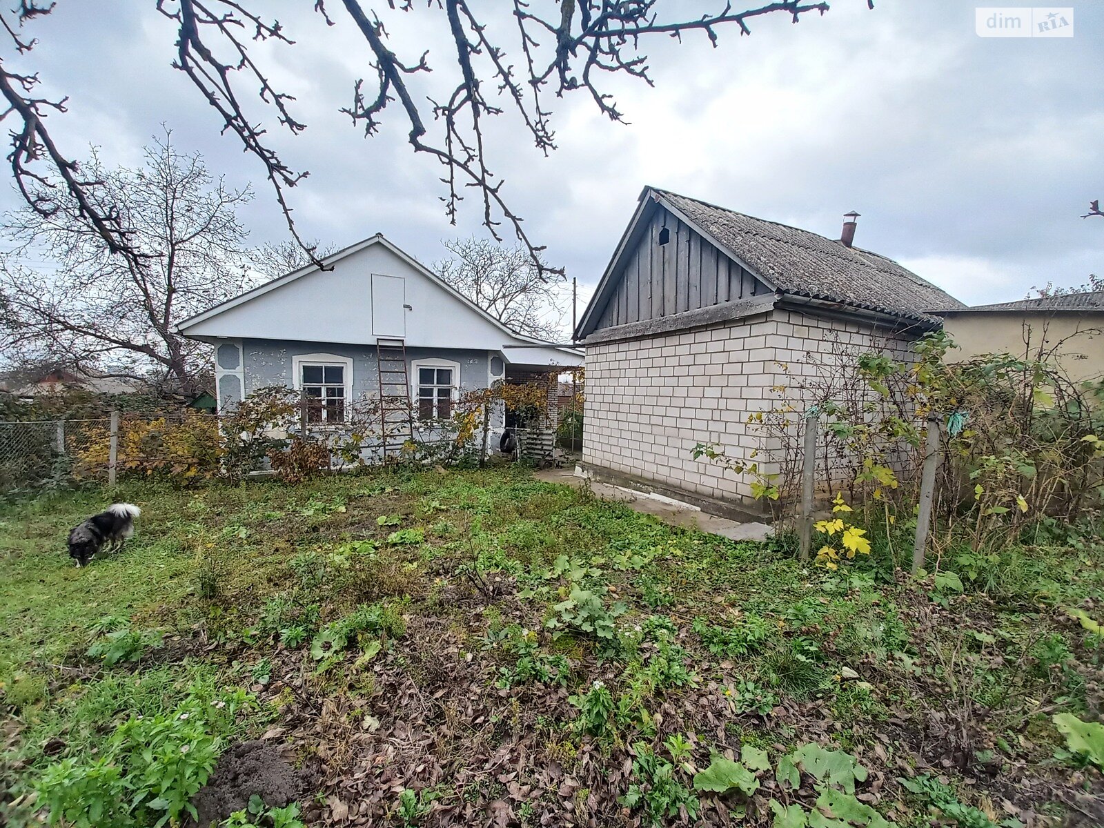 одноповерховий будинок, 47.1 кв. м, шлакобетон. Продаж в Жмеринці, район Жмеринка фото 1 одноповерховий будинок, 47.1 кв. м, шлакобетон. Продаж в Жмеринці, район Жмеринка фото 1