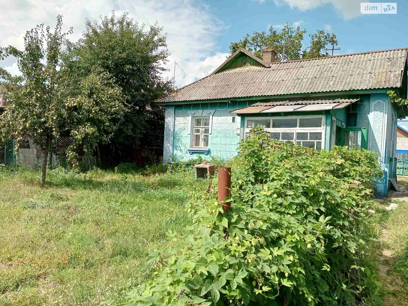 одноэтажный дом с верандой, 56 кв. м, шлакоблок. Продажа в Жмеринке фото 1 одноэтажный дом с верандой, 56 кв. м, шлакоблок. Продажа в Жмеринке фото 1