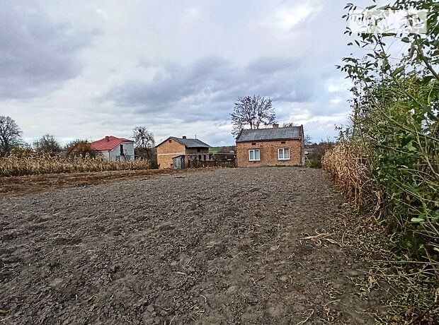 одноэтажный дом с подвалом, 58.2 кв. м, кирпич. Продажа в Мервичах (Львовская обл.) фото 1 одноэтажный дом с подвалом, 58.2 кв. м, кирпич. Продажа в Мервичах (Львовская обл.) фото 1