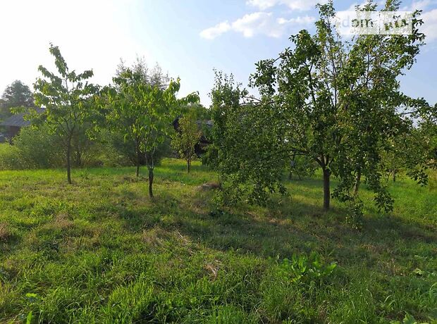 одноэтажный дом с камином, 79 кв. м, шлакобетон. Продажа в Новой Каменке (Львовская обл.) фото 1 одноэтажный дом с камином, 79 кв. м, шлакобетон. Продажа в Новой Каменке (Львовская обл.) фото 1