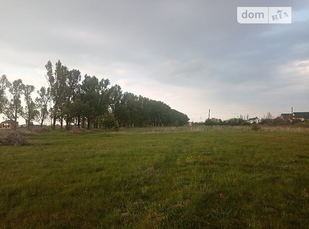 одноэтажный дом с террасой, 200 кв. м, кирпич. Продажа в Туринке (Львовская обл.) фото 1 одноэтажный дом с террасой, 200 кв. м, кирпич. Продажа в Туринке (Львовская обл.) фото 1