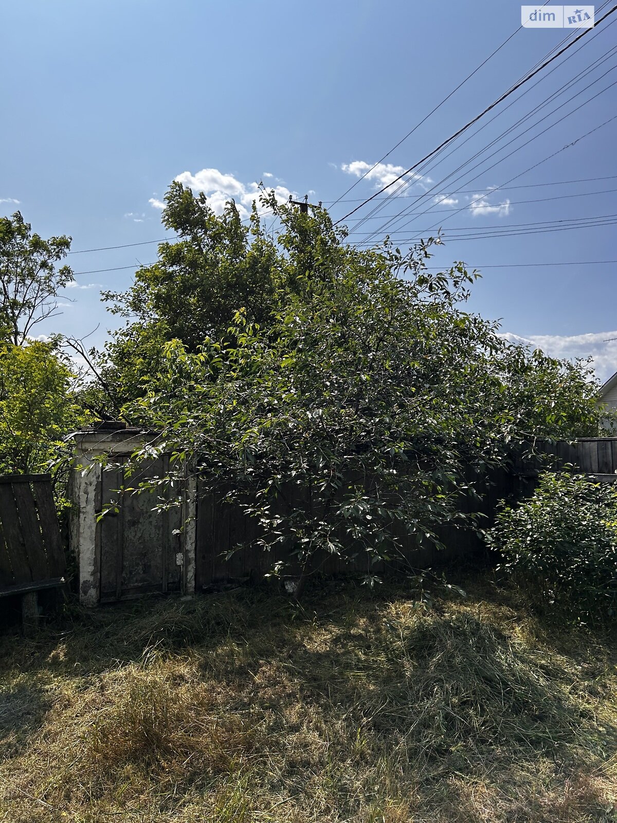 одноповерховий будинок, 40 кв. м, цегла. Продаж у Жукиному фото 1 одноповерховий будинок, 40 кв. м, цегла. Продаж у Жукиному фото 1