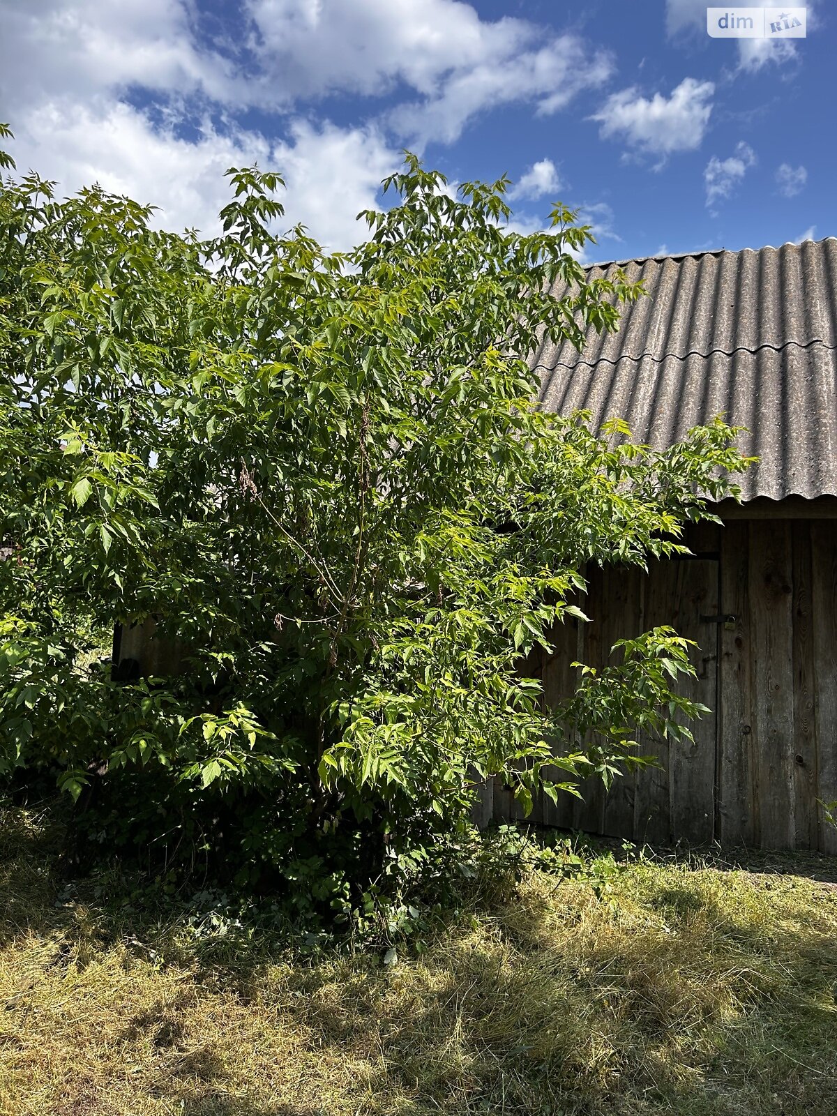одноповерховий будинок, 40 кв. м, цегла. Продаж у Жукиному фото 1 одноповерховий будинок, 40 кв. м, цегла. Продаж у Жукиному фото 1