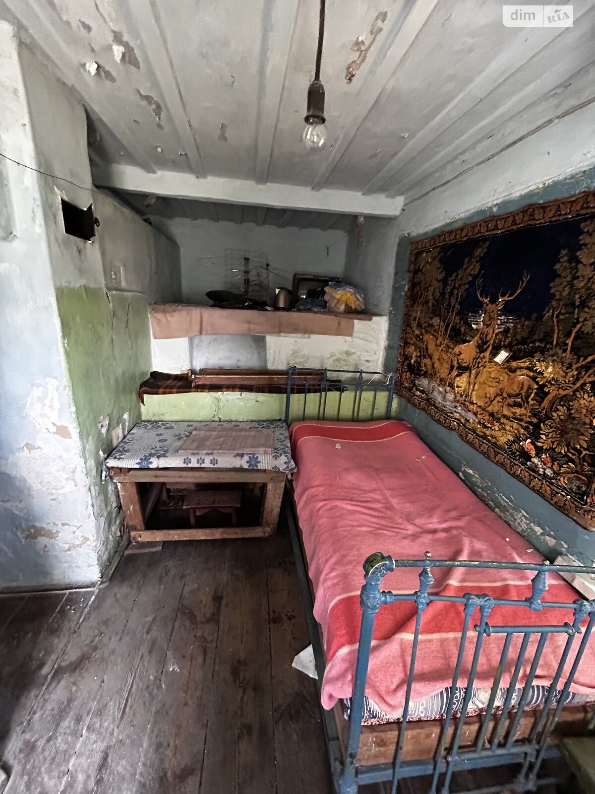 одноповерховий будинок, 40 кв. м, цегла. Продаж у Жукиному фото 1 одноповерховий будинок, 40 кв. м, цегла. Продаж у Жукиному фото 1