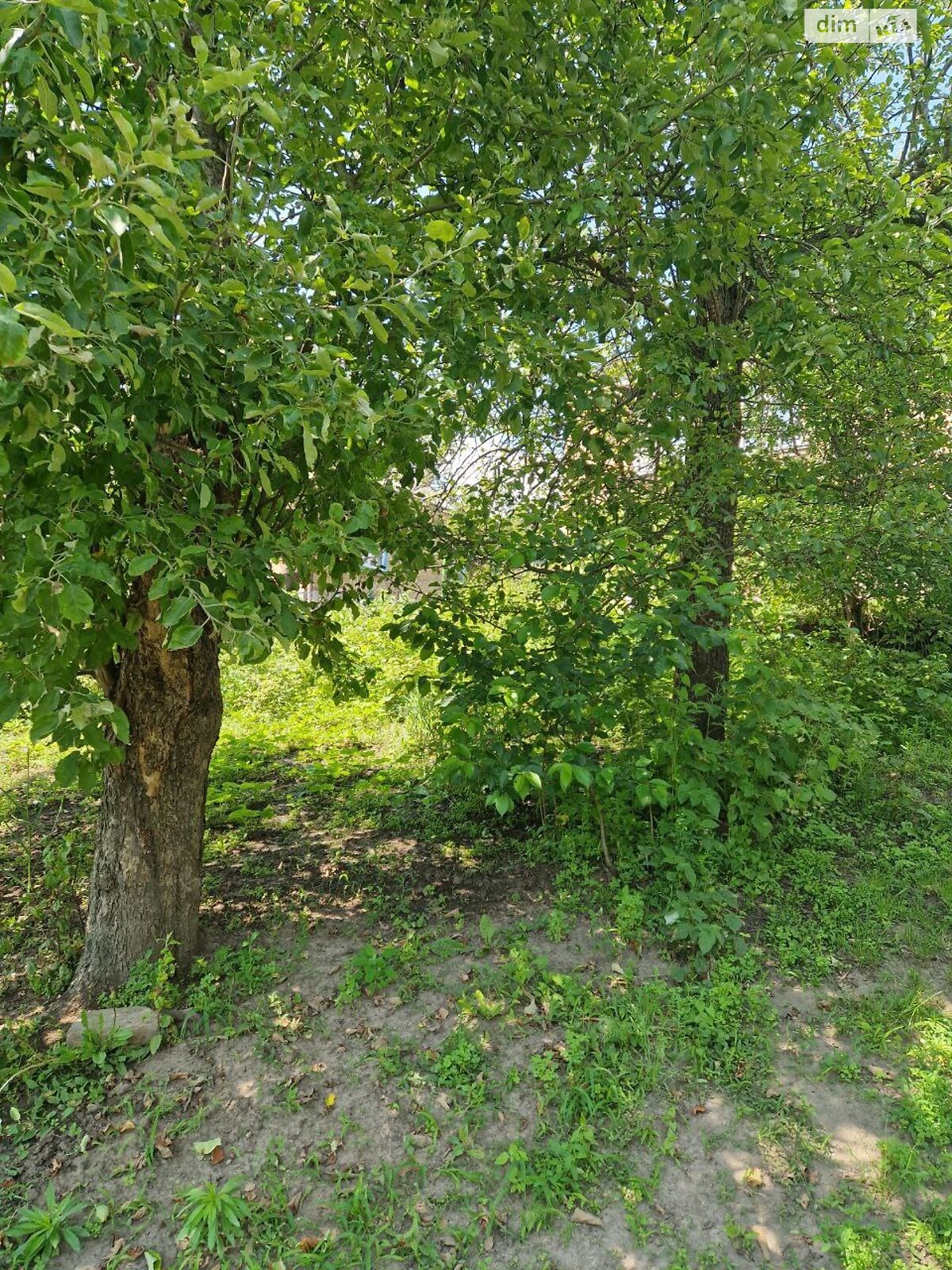 одноповерховий будинок з верандою, 84.6 кв. м, цегла. Продаж в Кагарлику, район Кагарлик фото 1 одноповерховий будинок з верандою, 84.6 кв. м, цегла. Продаж в Кагарлику, район Кагарлик фото 1