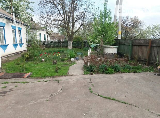 одноповерховий будинок з садом, 70 кв. м, цегла. Продаж в Кагарлику, район Кагарлик фото 1 одноповерховий будинок з садом, 70 кв. м, цегла. Продаж в Кагарлику, район Кагарлик фото 1