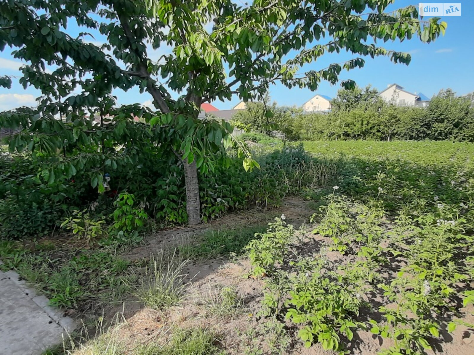 двоповерховий будинок з опаленням, 152.1 кв. м, цегла. Продаж у Кагарлику фото 1