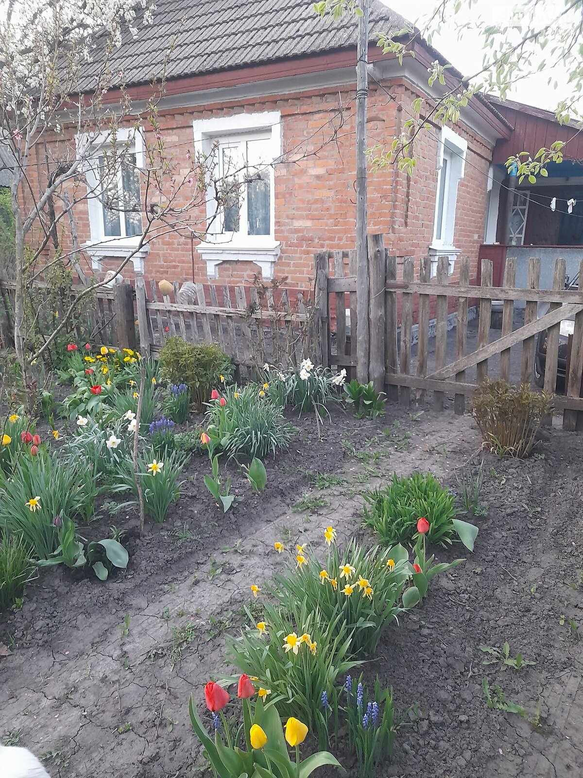 одноэтажный дом, 57 кв. м, кирпич. Продажа в Калиновке фото 1 одноэтажный дом, 57 кв. м, кирпич. Продажа в Калиновке фото 1