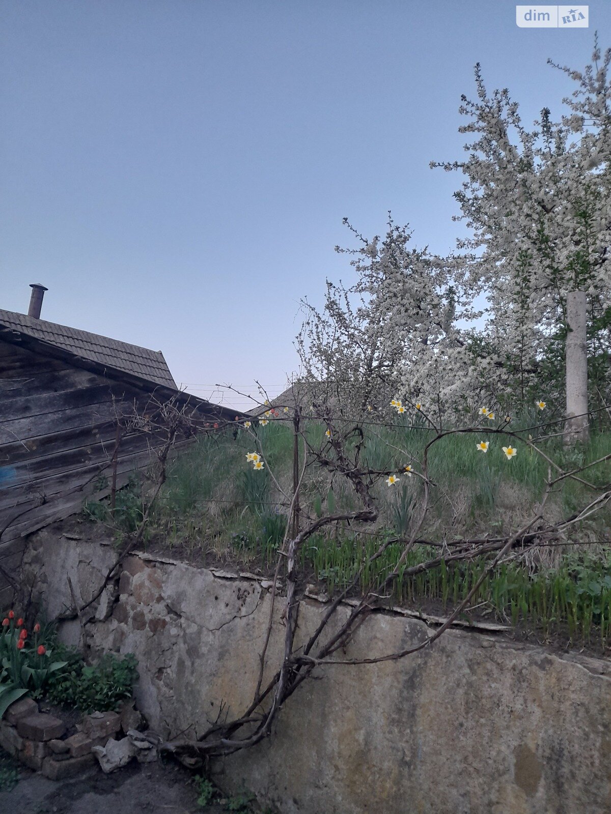 одноэтажный дом, 57 кв. м, кирпич. Продажа в Калиновке фото 1 одноэтажный дом, 57 кв. м, кирпич. Продажа в Калиновке фото 1