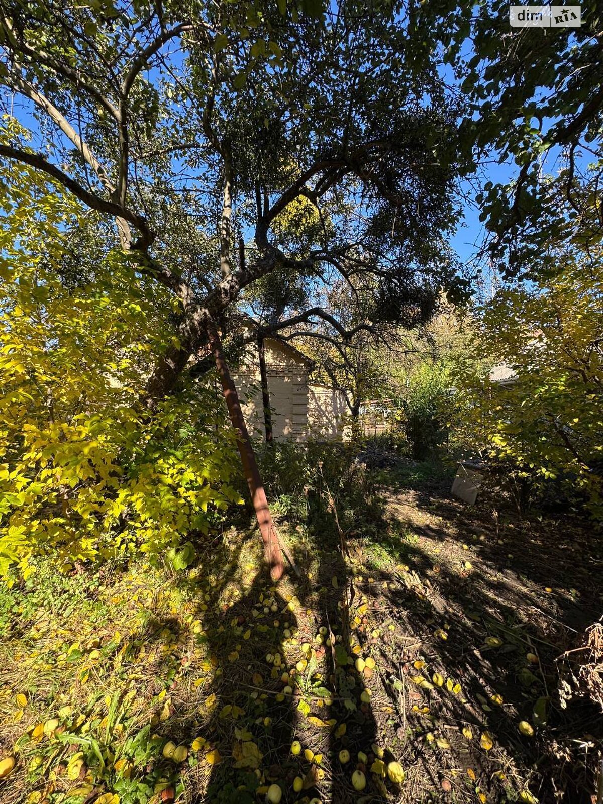 одноповерховий будинок з опаленням, 84.8 кв. м, цегла. Продаж у Калинівці фото 1