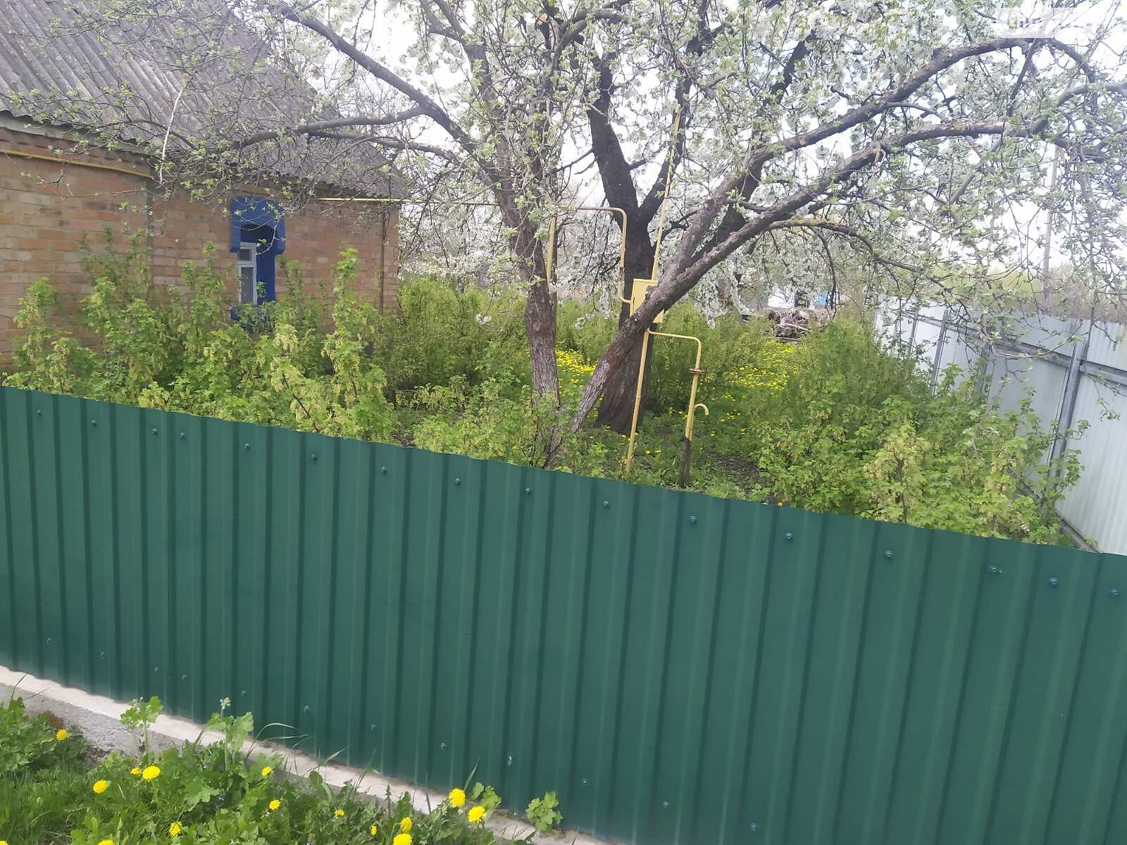 одноповерховий будинок, 42 кв. м, цегла. Продаж у Калинівці фото 1