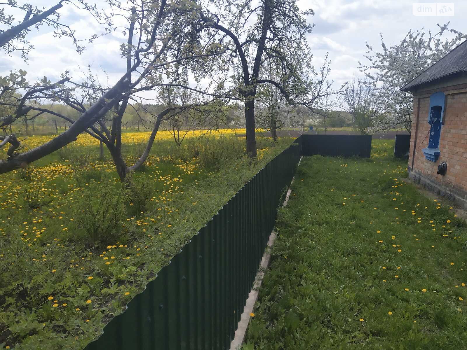 одноповерховий будинок, 42 кв. м, цегла. Продаж у Калинівці фото 1