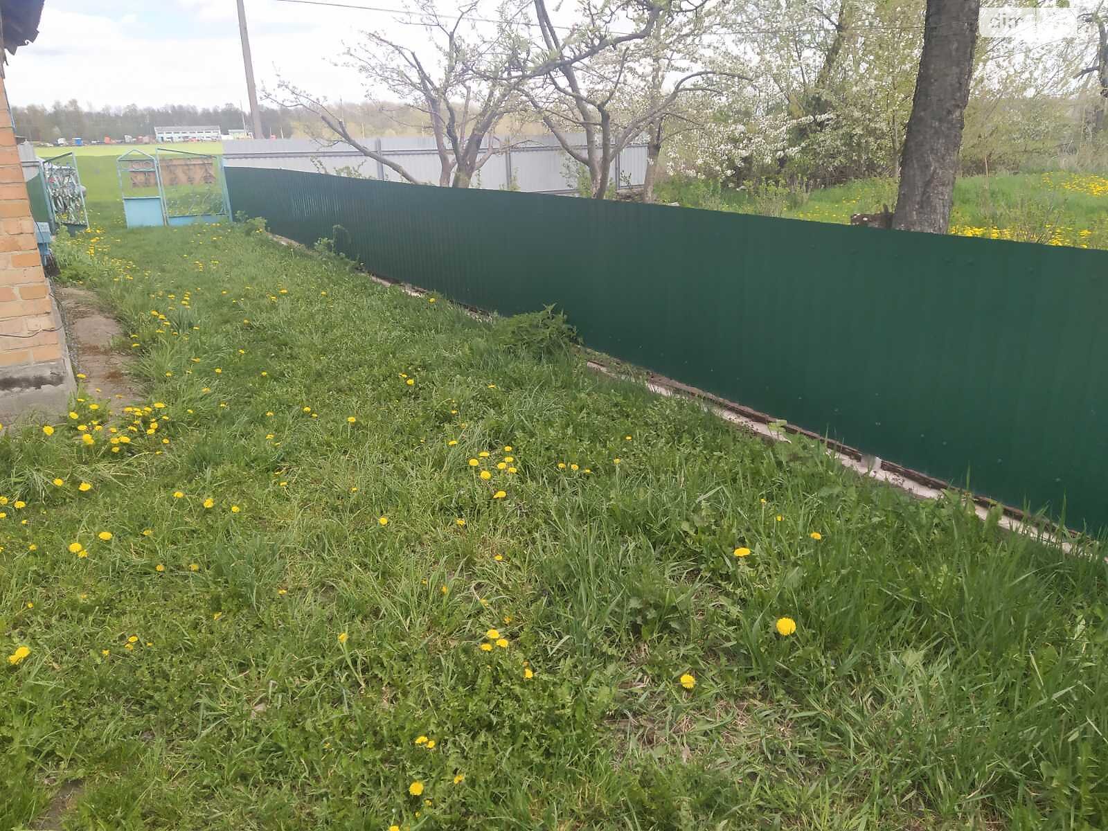 одноповерховий будинок, 42 кв. м, цегла. Продаж у Калинівці фото 1