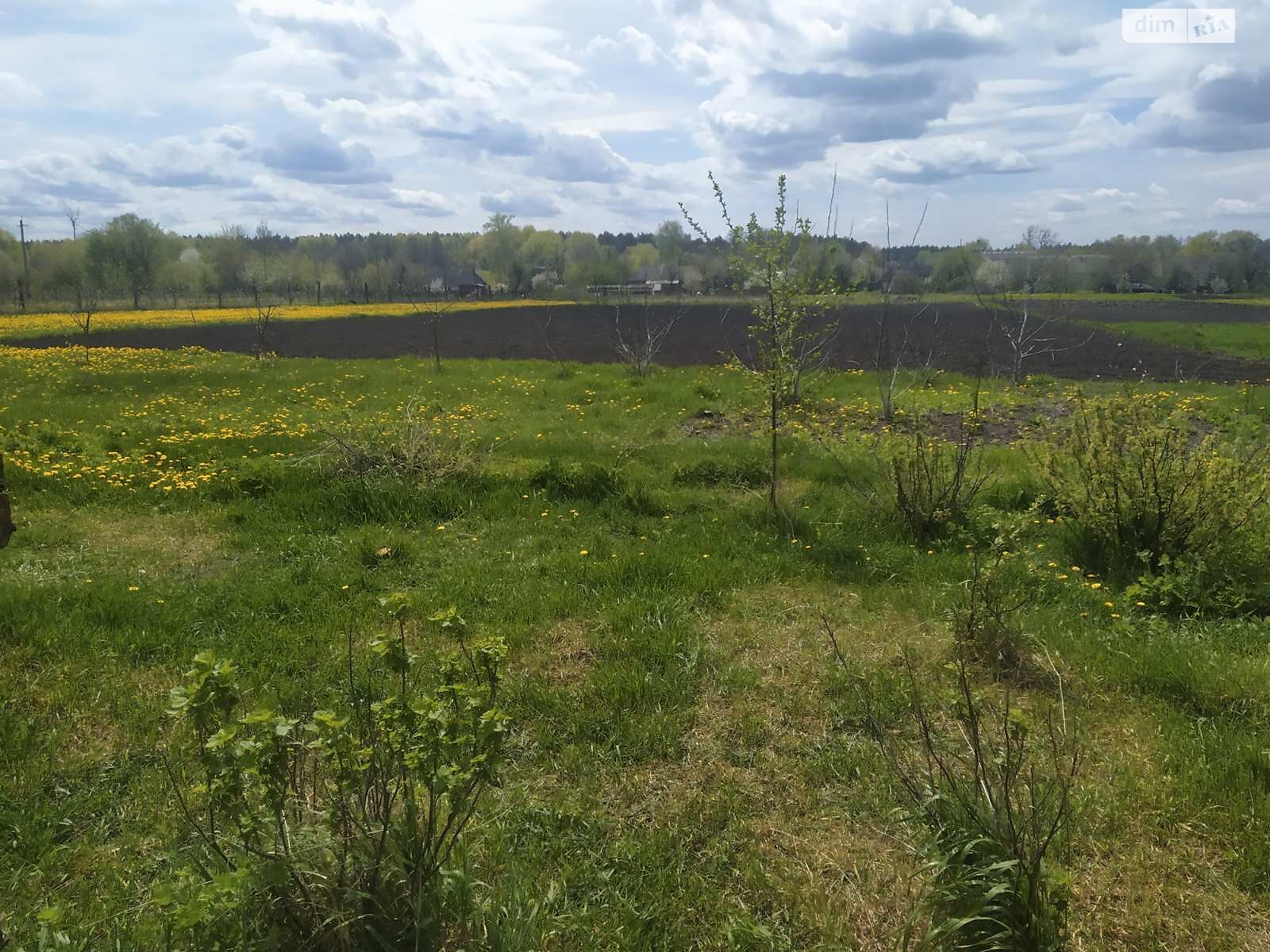 одноповерховий будинок, 42 кв. м, цегла. Продаж у Калинівці фото 1