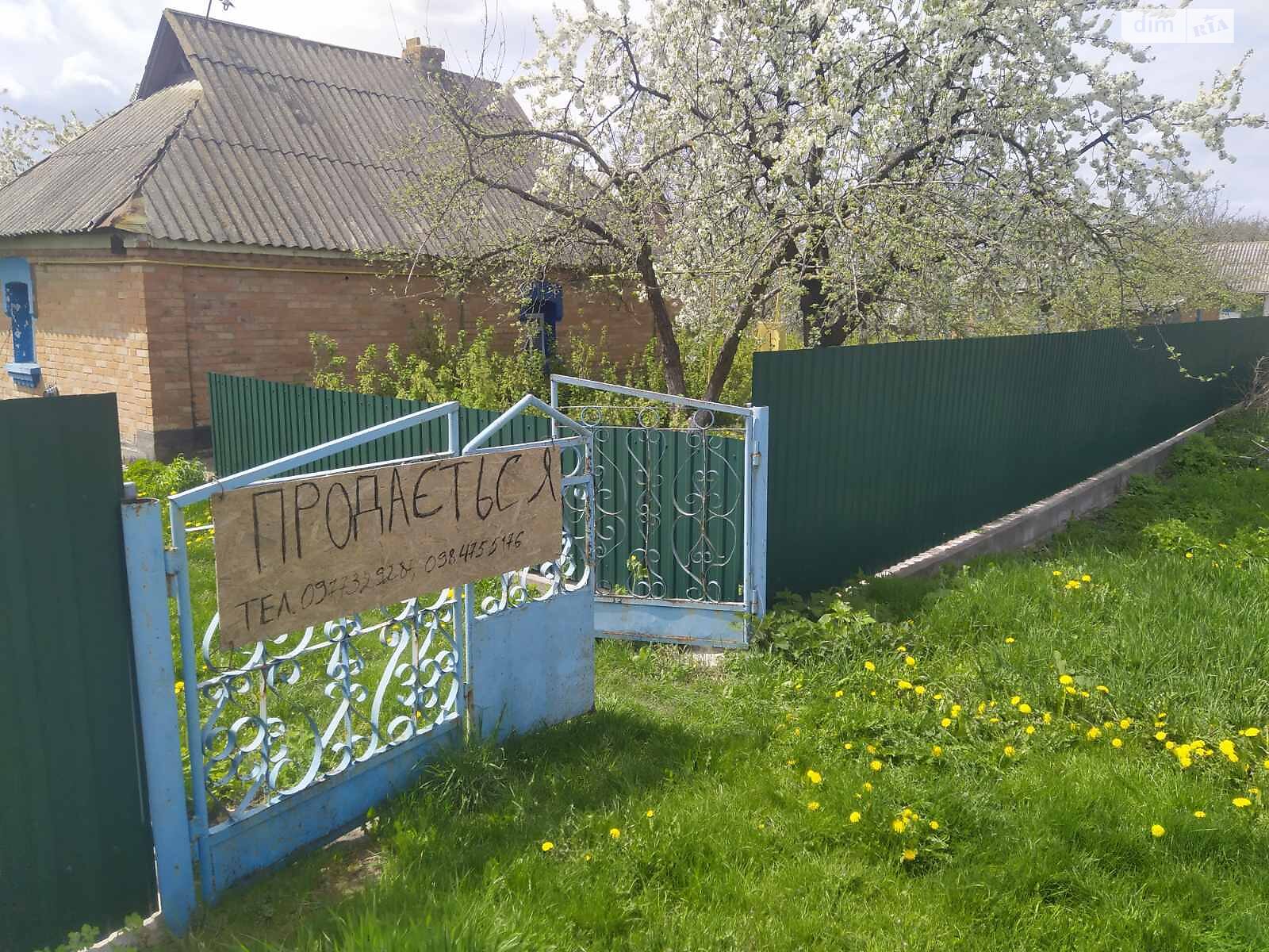 одноповерховий будинок, 42 кв. м, цегла. Продаж у Калинівці фото 1