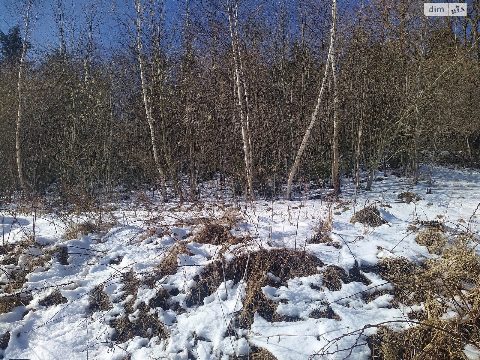 двоповерховий будинок, 120 кв. м, ракушняк. Продаж у Кальні фото 1 двоповерховий будинок, 120 кв. м, ракушняк. Продаж у Кальні фото 1