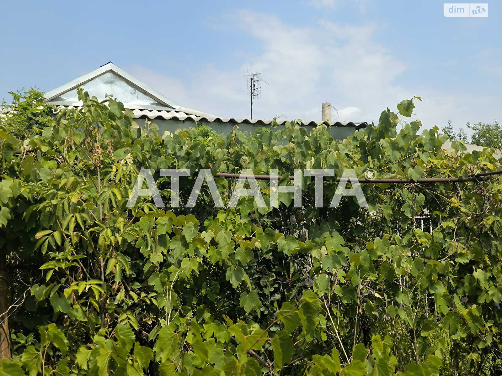 одноэтажный дом, 77.4 кв. м, ракушечник (ракушняк). Продажа в Каменке фото 1 одноэтажный дом, 77.4 кв. м, ракушечник (ракушняк). Продажа в Каменке фото 1