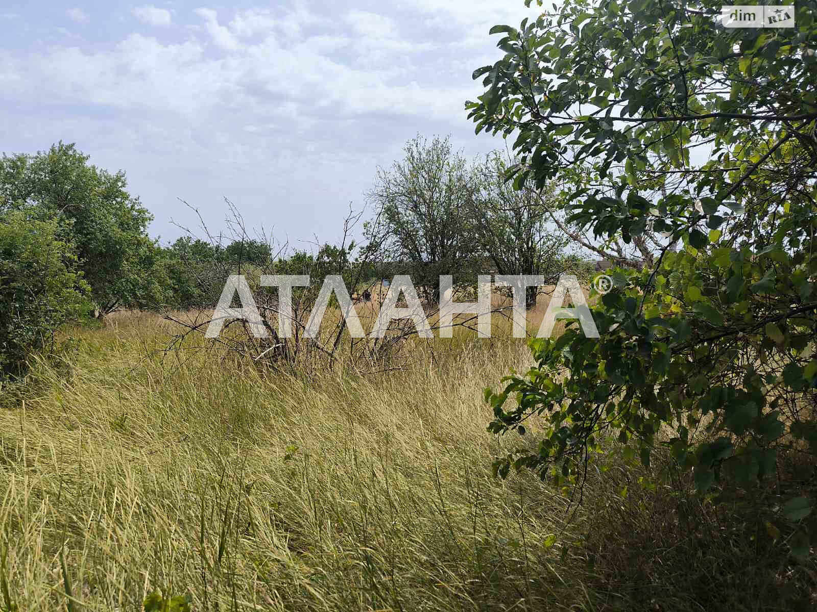 одноэтажный дом, 77.4 кв. м, ракушечник (ракушняк). Продажа в Каменке фото 1 одноэтажный дом, 77.4 кв. м, ракушечник (ракушняк). Продажа в Каменке фото 1