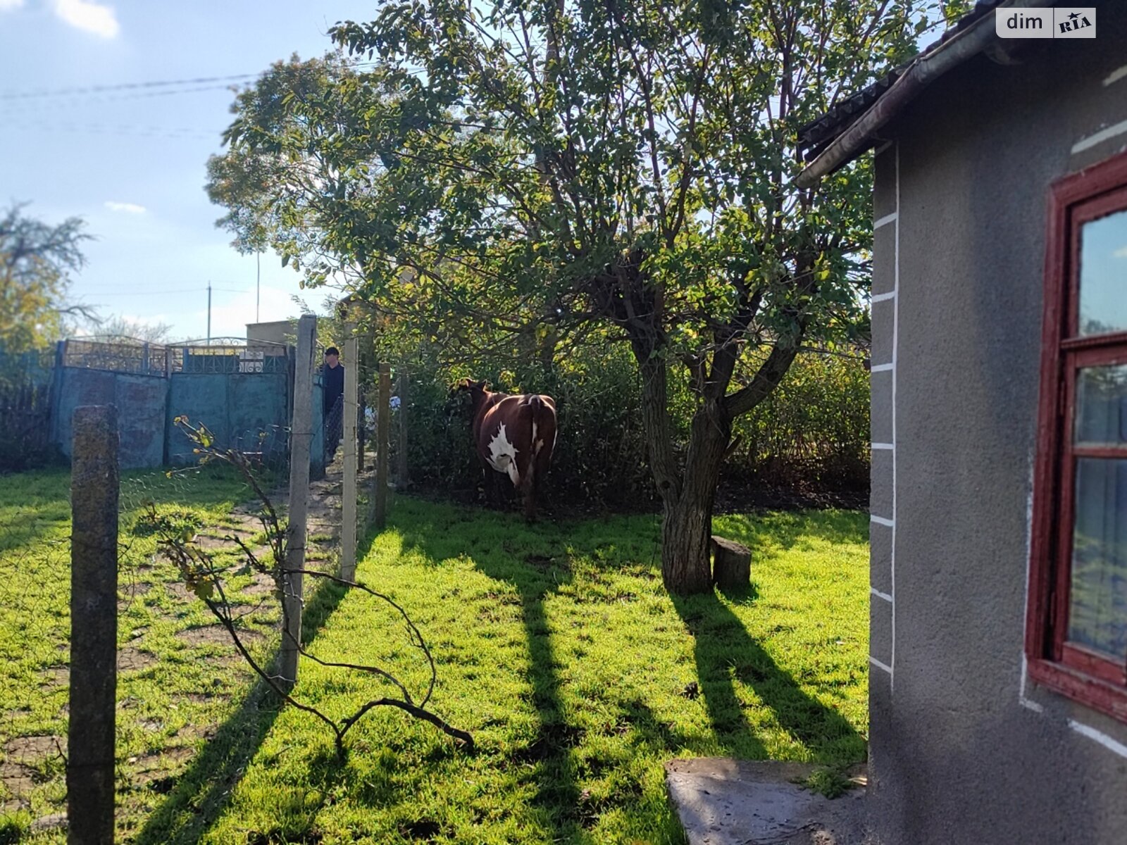 одноэтажный дом с верандой, 42 кв. м, ракушечник (ракушняк). Продажа в Каменке фото 1 одноэтажный дом с верандой, 42 кв. м, ракушечник (ракушняк). Продажа в Каменке фото 1