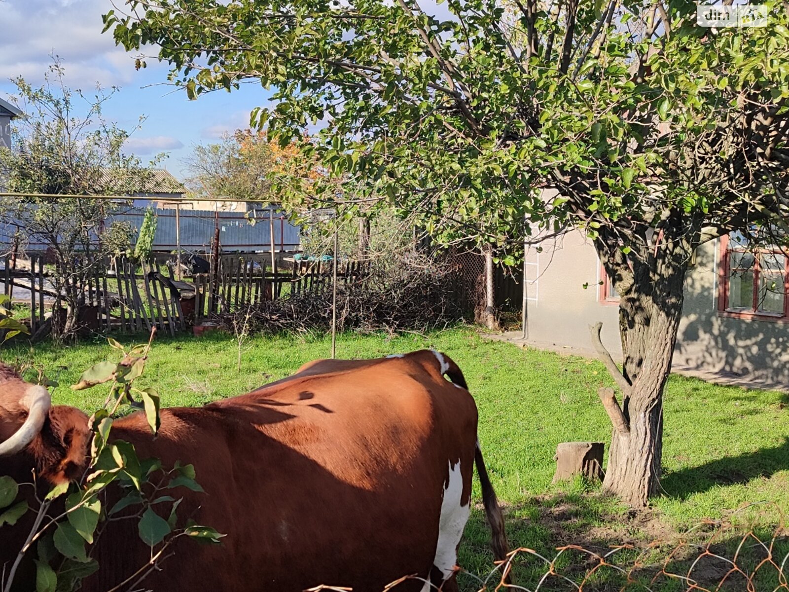 одноэтажный дом с верандой, 42 кв. м, ракушечник (ракушняк). Продажа в Каменке фото 1 одноэтажный дом с верандой, 42 кв. м, ракушечник (ракушняк). Продажа в Каменке фото 1
