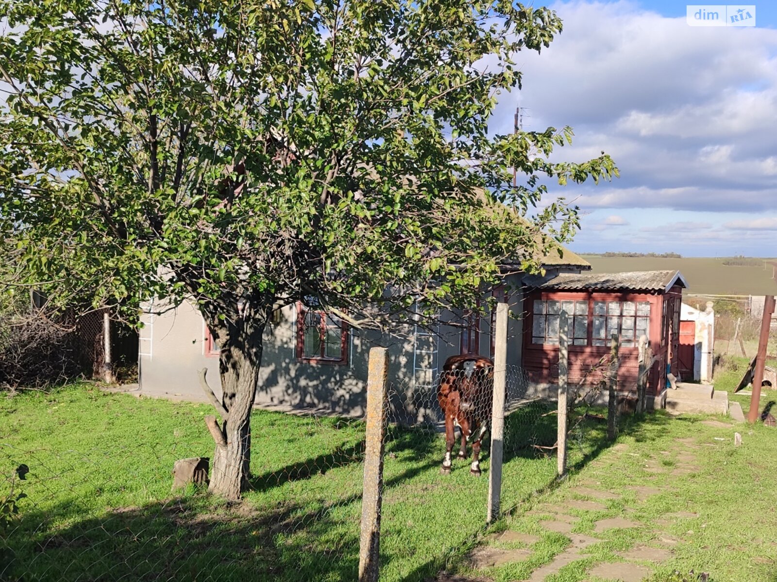 одноэтажный дом с верандой, 42 кв. м, ракушечник (ракушняк). Продажа в Каменке фото 1 одноэтажный дом с верандой, 42 кв. м, ракушечник (ракушняк). Продажа в Каменке фото 1