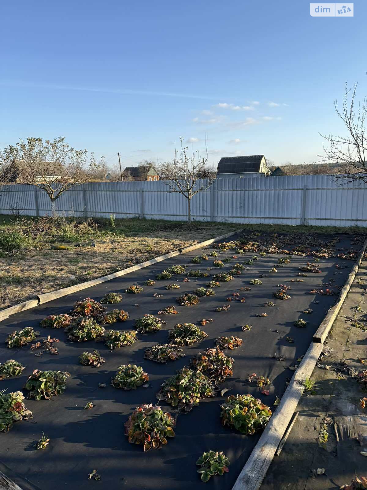 двоповерховий будинок з верандою, 48 кв. м, кирпич. Продаж у Кам’янці фото 1