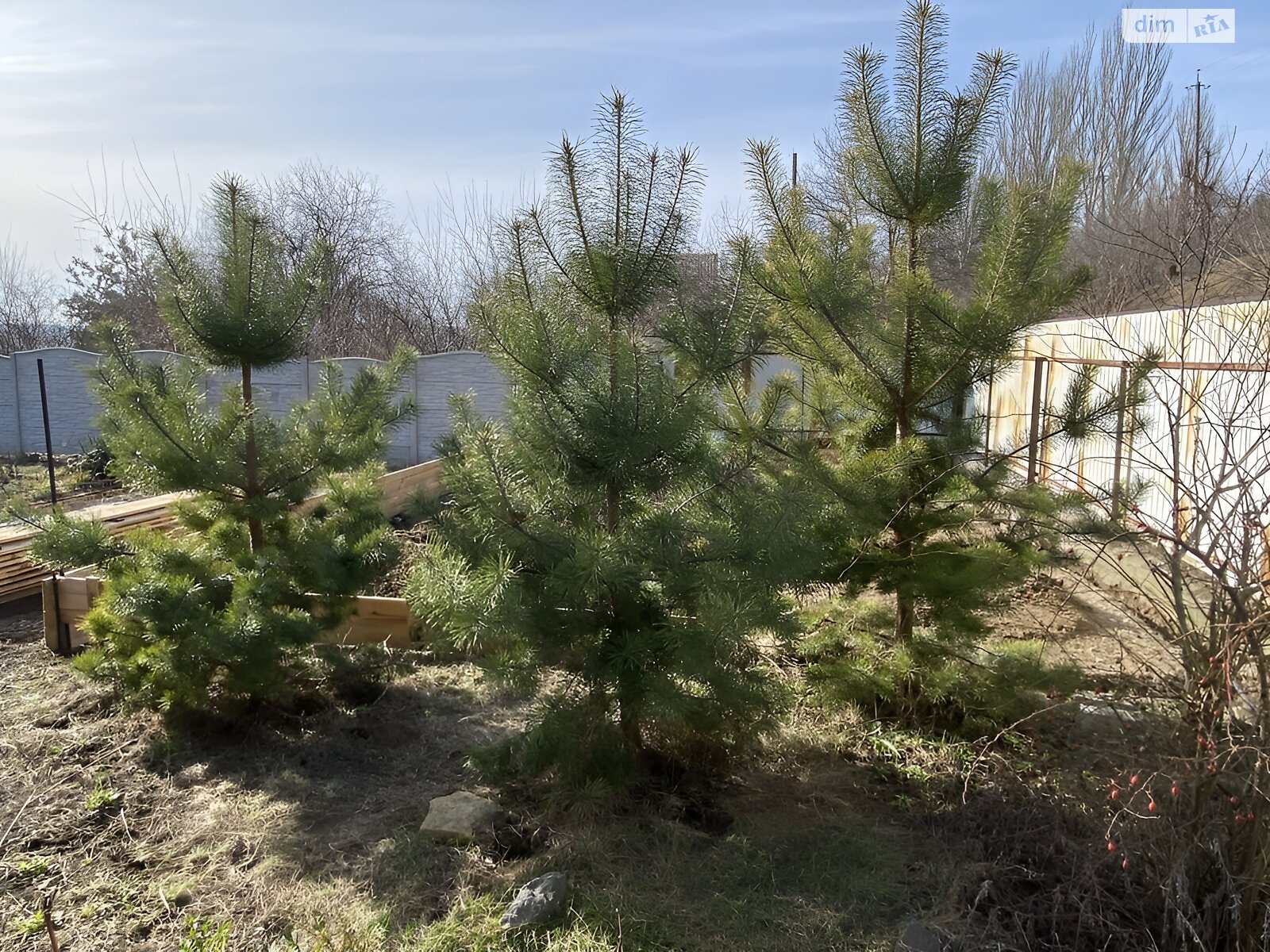 двоповерховий будинок з верандою, 70 кв. м, кирпич. Продаж у Кам’янці фото 1 двоповерховий будинок з верандою, 70 кв. м, кирпич. Продаж у Кам’янці фото 1