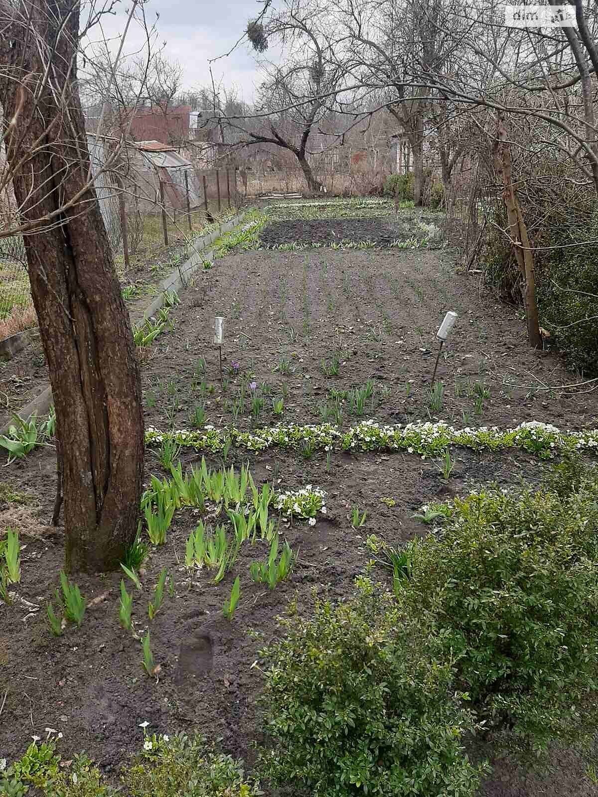 двоповерховий будинок, 40 кв. м, дерево та цегла. Продаж у Кам’яній Горі фото 1 двоповерховий будинок, 40 кв. м, дерево та цегла. Продаж у Кам’яній Горі фото 1