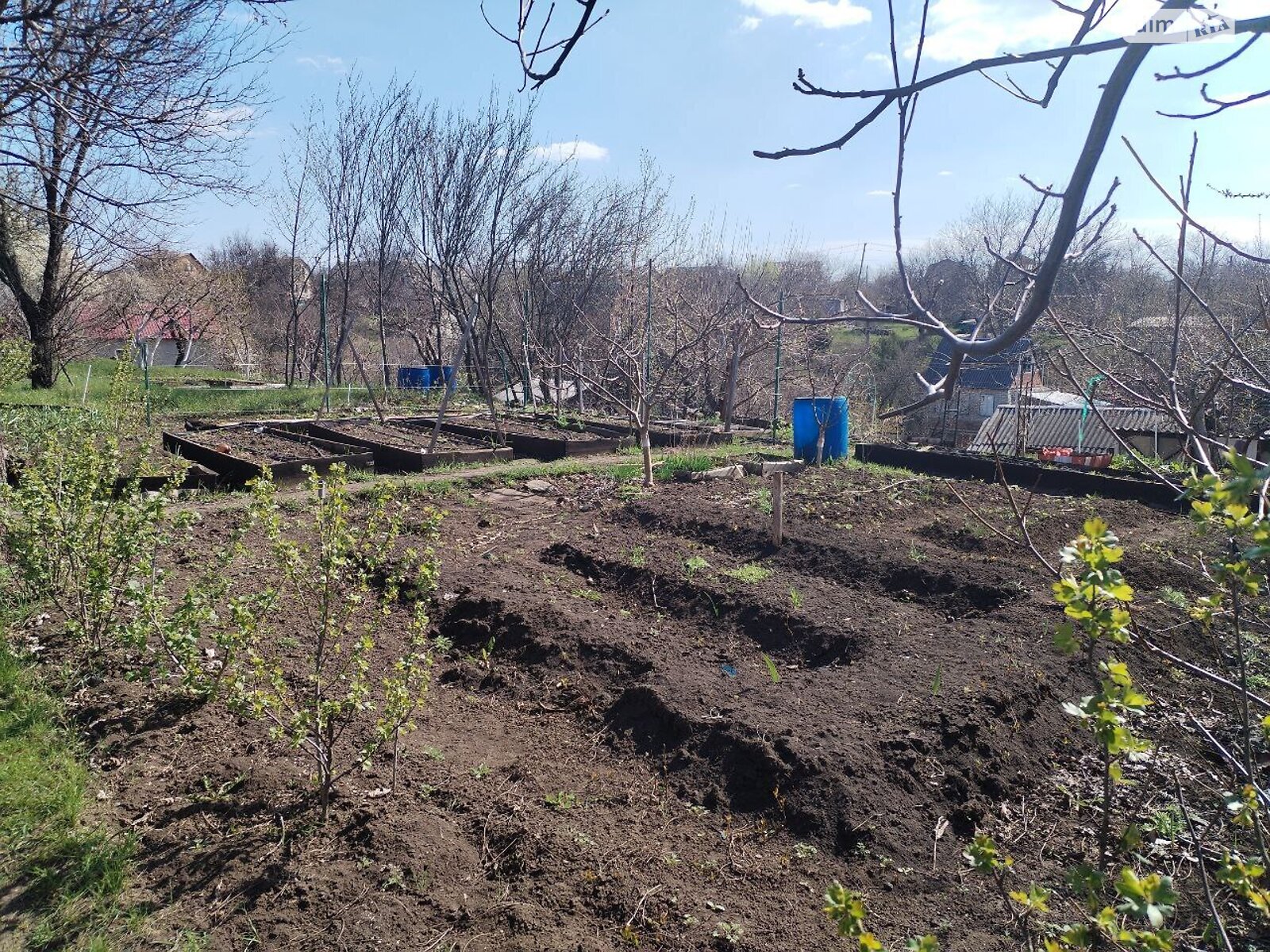 одноповерховий будинок бесідка, 600 кв. м, цегла. Продаж у Кам’яні Ярузі фото 1 одноповерховий будинок бесідка, 600 кв. м, цегла. Продаж у Кам’яні Ярузі фото 1