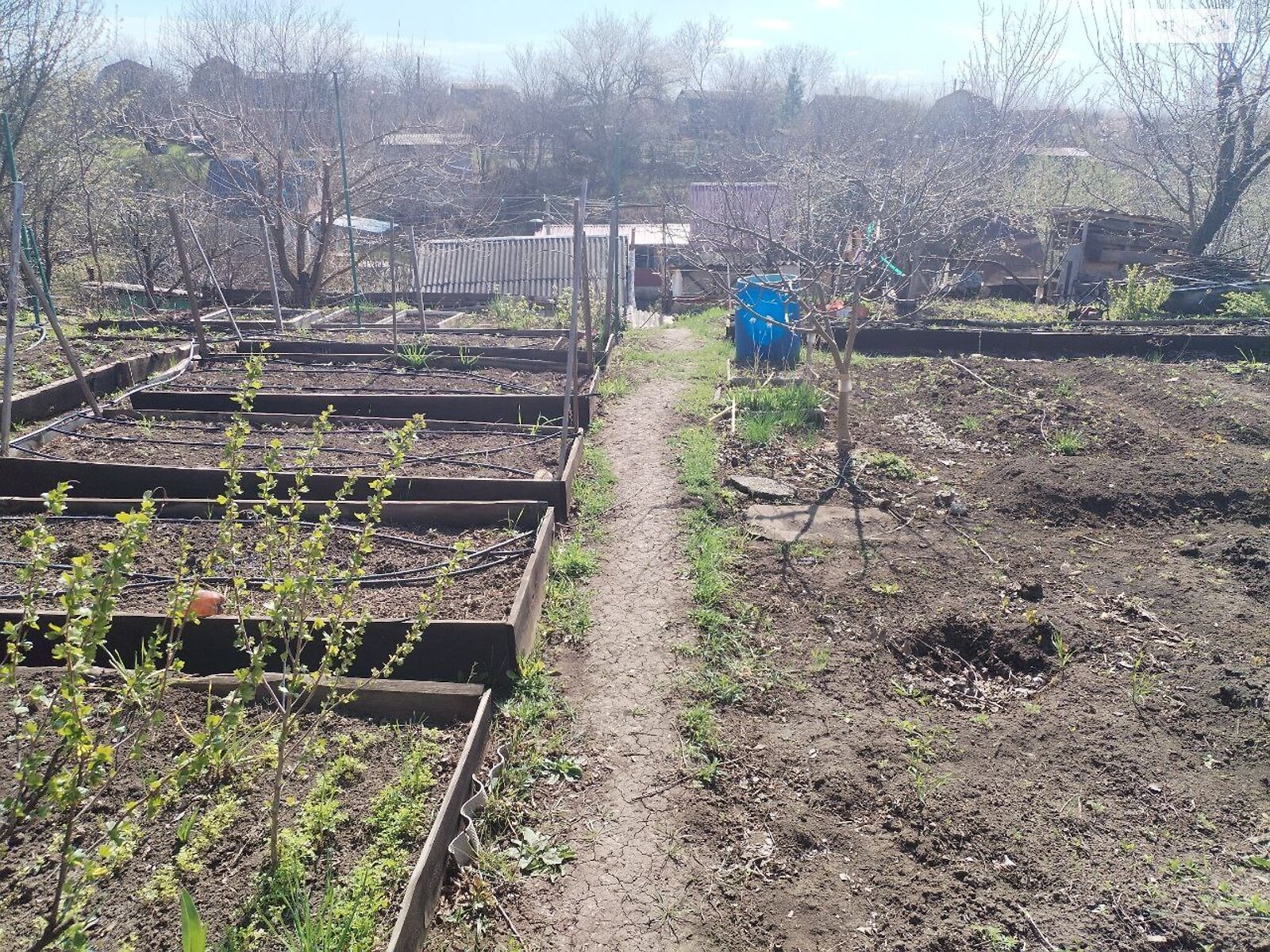одноповерховий будинок бесідка, 600 кв. м, цегла. Продаж у Кам’яні Ярузі фото 1 одноповерховий будинок бесідка, 600 кв. м, цегла. Продаж у Кам’яні Ярузі фото 1