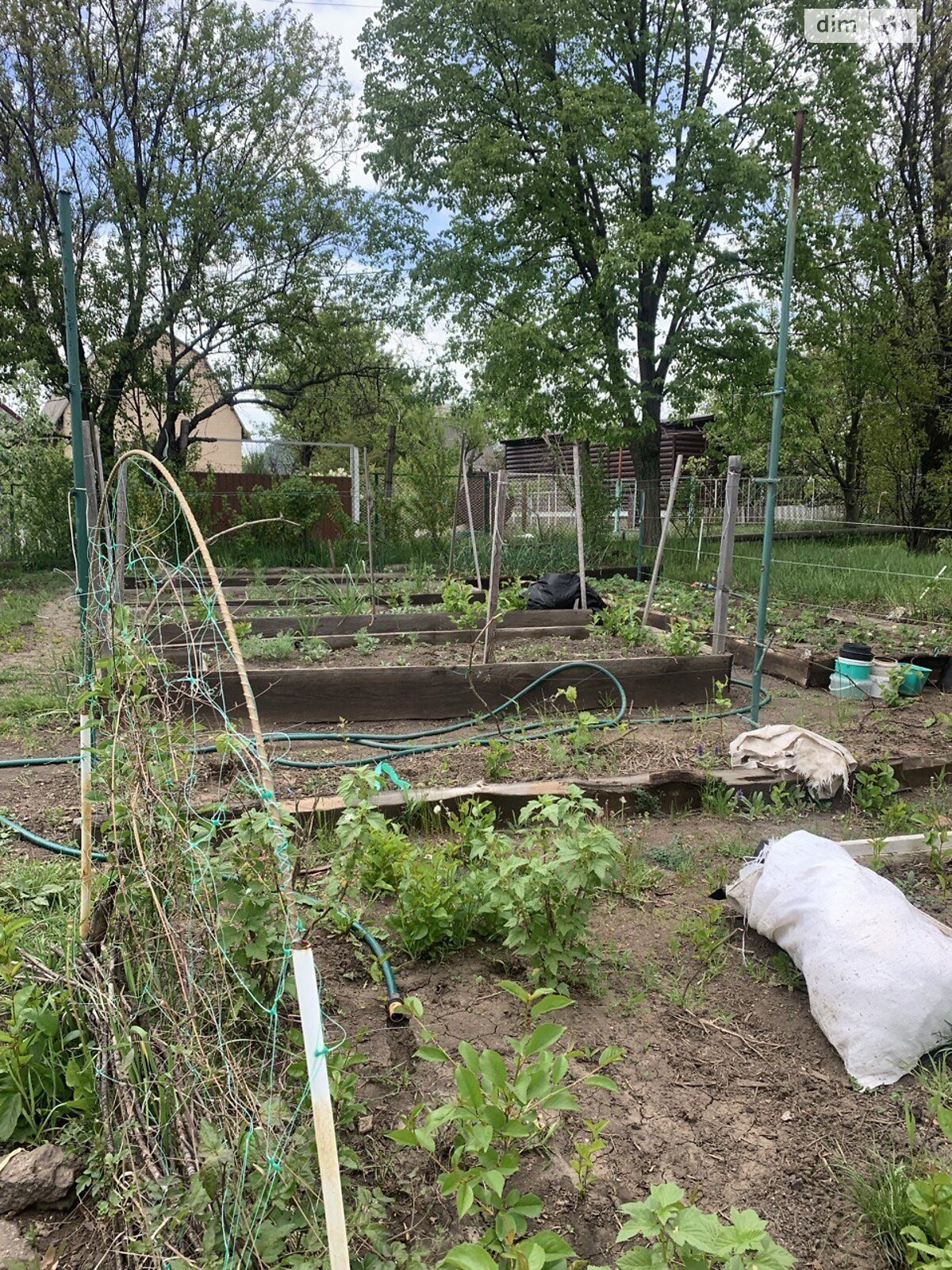 одноповерховий будинок бесідка, 600 кв. м, цегла. Продаж у Кам’яні Ярузі фото 1 одноповерховий будинок бесідка, 600 кв. м, цегла. Продаж у Кам’яні Ярузі фото 1