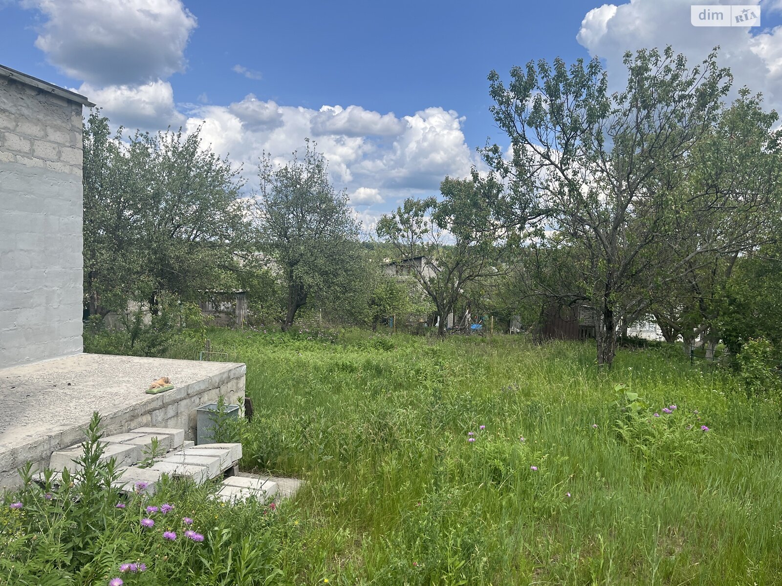 одноэтажный дом, 60 кв. м, керамзитобетон. Продажа в Каменной Яруге фото 1 одноэтажный дом, 60 кв. м, керамзитобетон. Продажа в Каменной Яруге фото 1