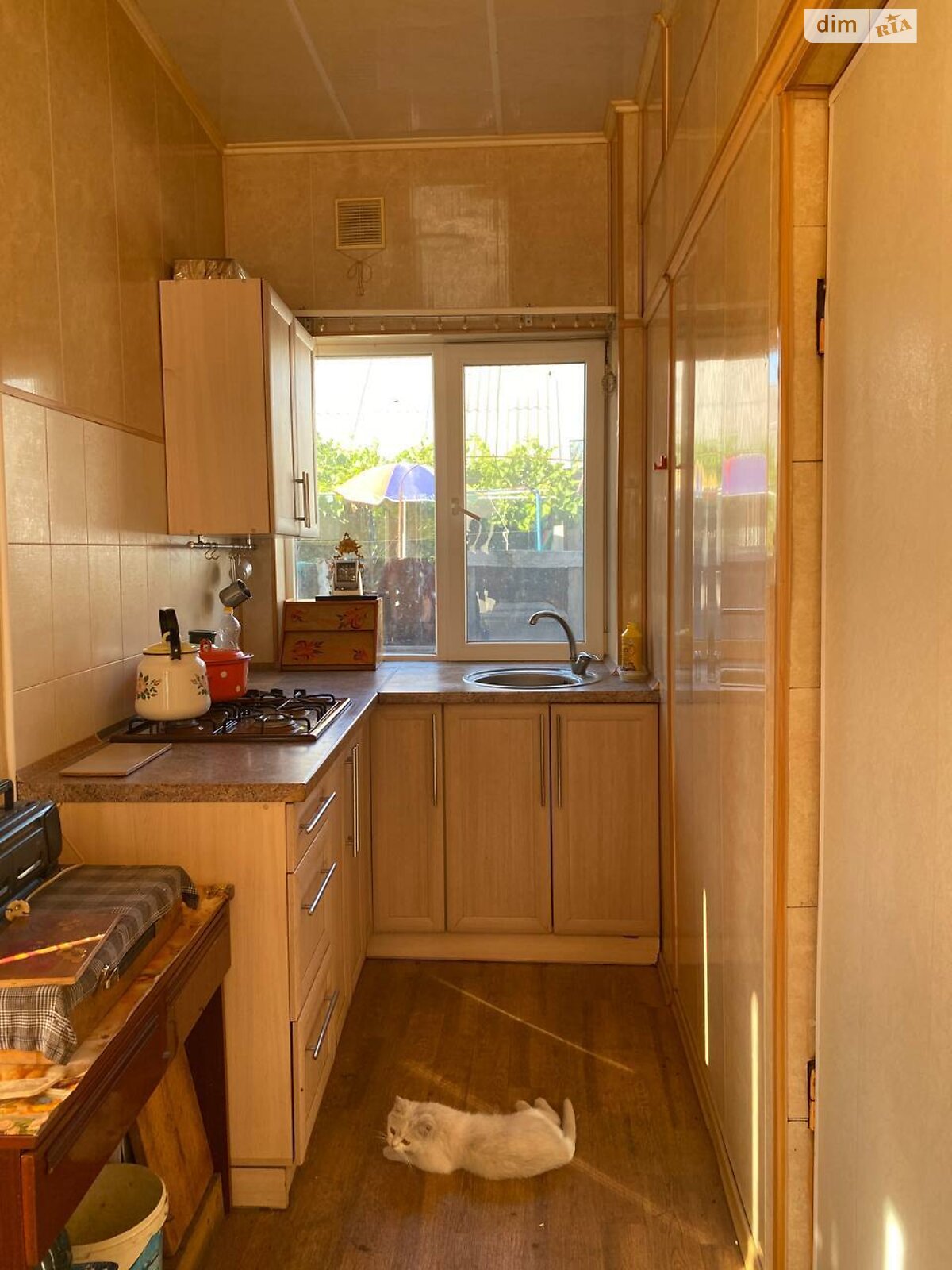 одноповерховий будинок з верандою, 90 кв. м, шлакоблок. Продаж в Кам’янському, район Черемушки фото 1 одноповерховий будинок з верандою, 90 кв. м, шлакоблок. Продаж в Кам’янському, район Черемушки фото 1